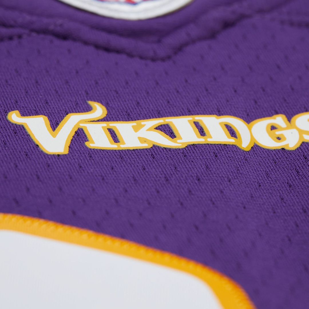 Jared Allen Minnesota Vikings 2011 Legacy Replica Jersey - Purple